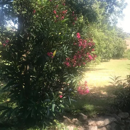 Ferme Restauree De Vacance Xaintrailles