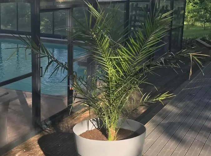 Ferme Restauree De Vacance Дом отдыха Xaintrailles