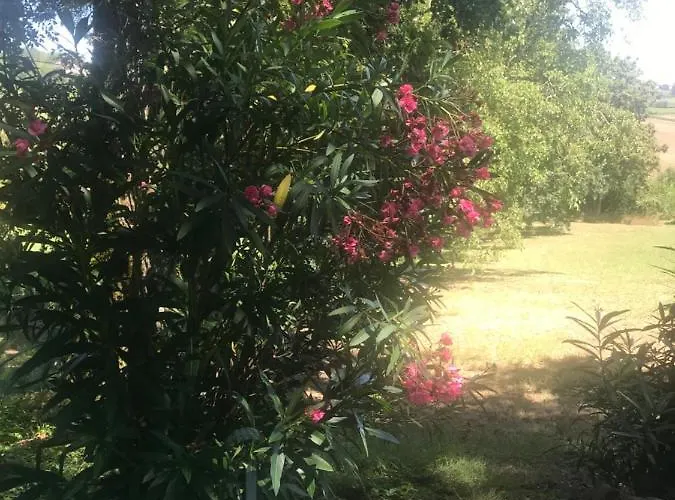 Ferme Restauree De Vacance Xaintrailles